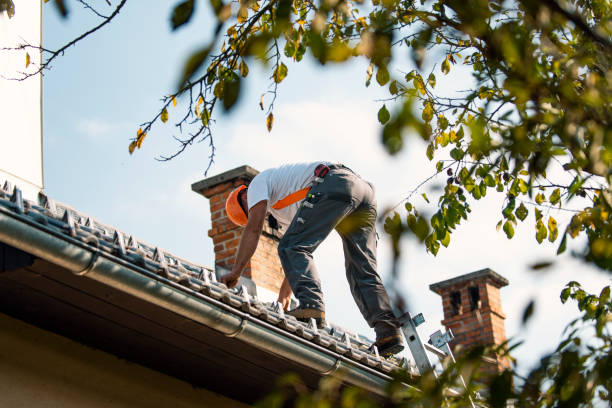 Best Storm Damage Roof Repair  in Duryea, PA